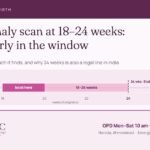 Anomaly scan at 18 to 24 weeks: a timeline showing the 18 to 24 week window, 18 to 20 weeks as the time to book, and the 24 week legal line