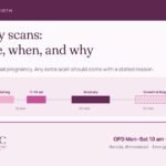 Pregnancy scans: a 0 to 40 week timeline showing the dating scan, the 11 to 14 week scan, the 18 to 24 week anomaly scan and third-trimester growth scans when there is a reason