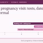 Timeline of the first 16 weeks of pregnancy: booking and dating scan, combined test, and aspirin where indicated