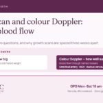 Growth scan and colour Doppler: the growth scan measures size, the Doppler measures blood flow