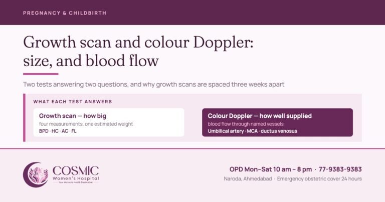Growth scan and colour Doppler: the growth scan measures size, the Doppler measures blood flow