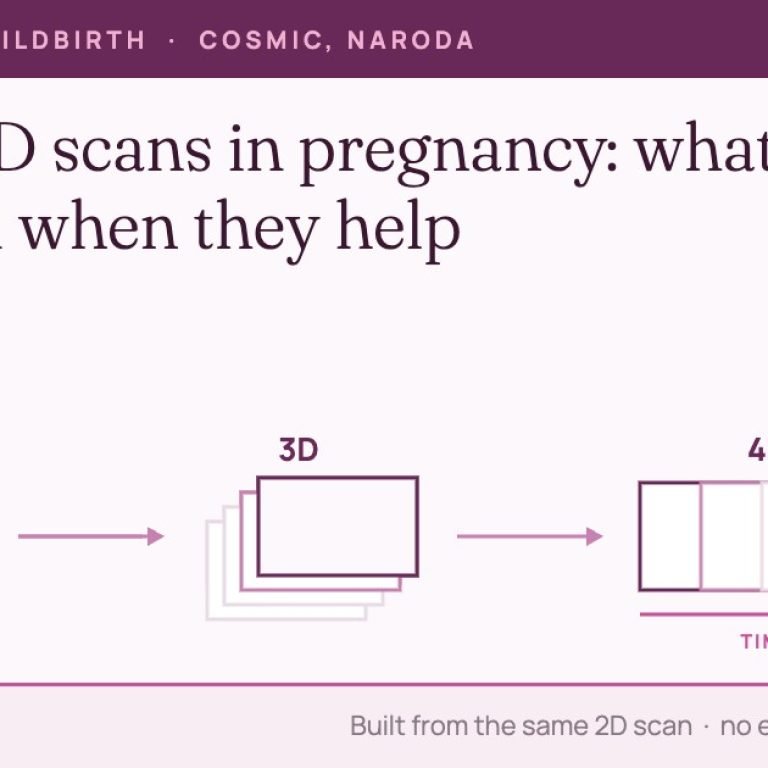 Diagram: a 2D ultrasound plane, a 3D volume built from many planes, and a 4D volume refreshed over time